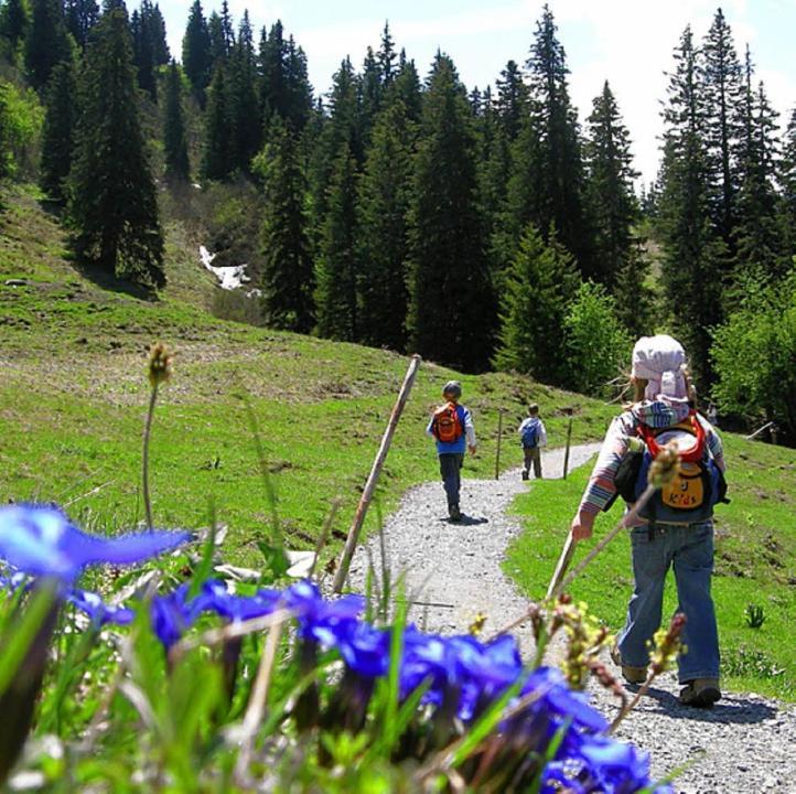 Diese Einfache Unterkunft- Bergheimat Ist Nur Fuer Backpacker- Rucksacktouristen Und Radfahrer - Huettenfeeling Im Backpackerhoues- Ganz Einfach - Ganz Unkompliziert - Ganz Relaxd Villa Linthal ภายนอก รูปภาพ